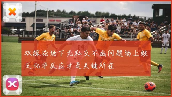 双探花场下无私交不成问题场上缺乏化学反应才是关键所在